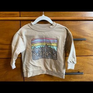 Patagonia sweatshirt